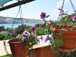 Apartmani Arabela Lopar (Otok Rab)