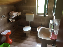 Apartmani Apartmani Bencic Premantura